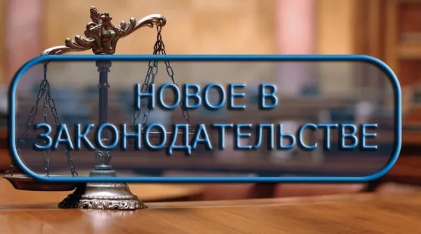 Выдача детских пособий в цифровых рублях с августа 2025 года - правда и мифы!