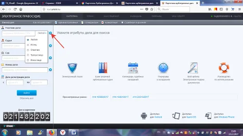 Картотека арбитражных дел как гарант прозрачности и законности процедуры банкротства физических лиц