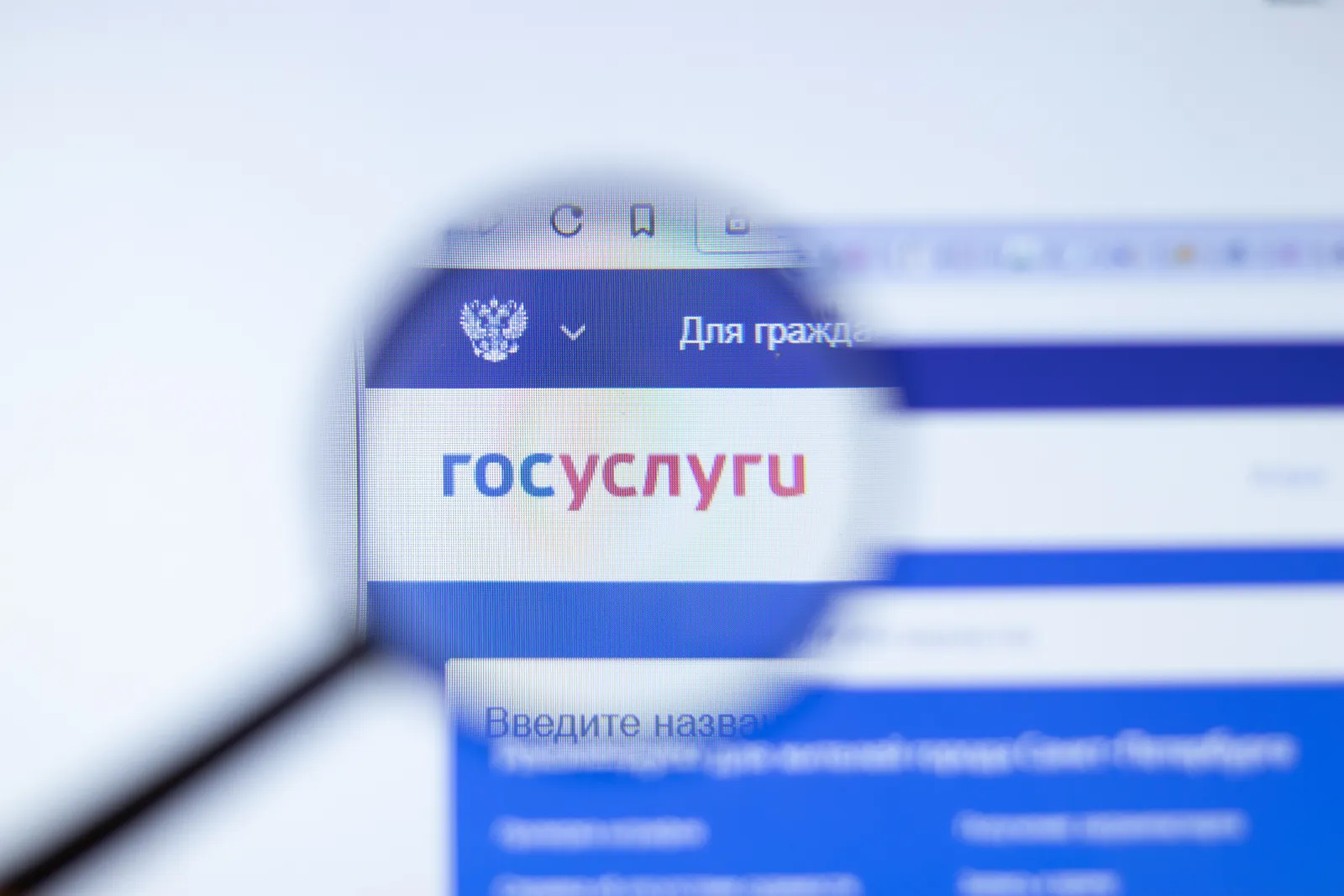 Как получить выписку из НБКИ самостоятельно?